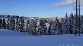 Frauenwald im Winter (15)